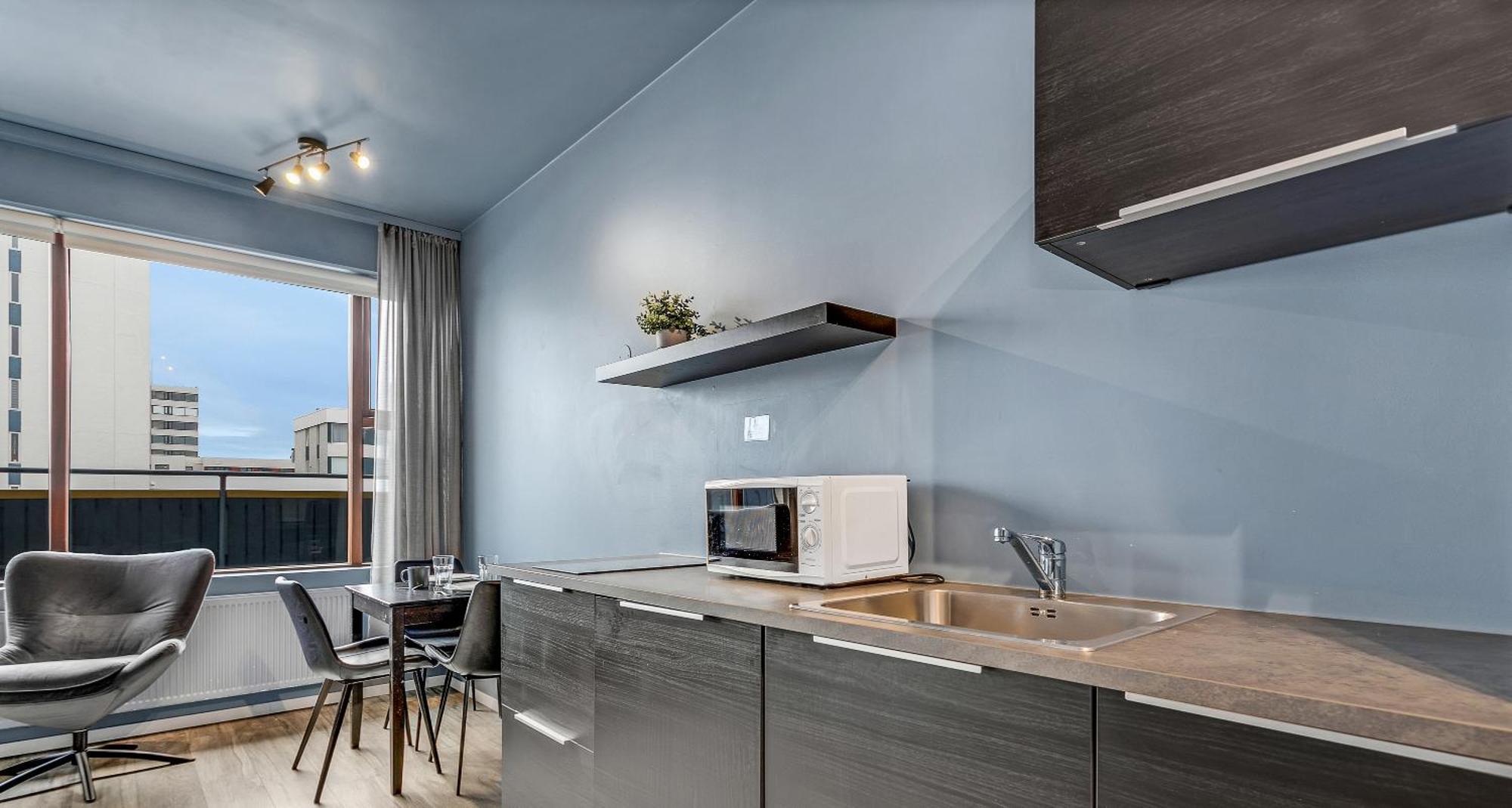 Iceland Comfort Apartments By Heimaleiga レイキャヴィーク 部屋 写真